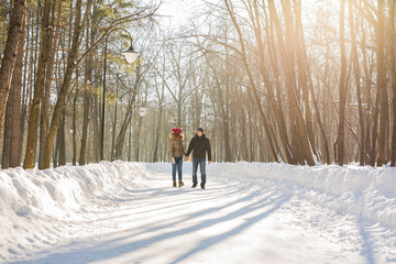 Couple holding each other's hands, the winter goes on the road, enjoying a stroll, a love couple. Husband and wife are going through the park holding hands in the winter. The movement of people