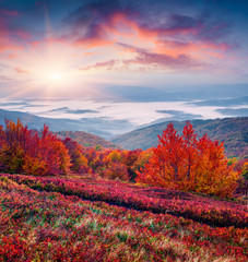 Obrazy na Szkle  Fantastyczne kolory jesiennego krajobrazu w Karpatach.