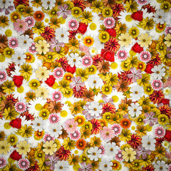 flower mix pattern