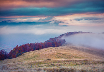 Colorful autumn scene on the Svydovets mountain range in Carpath