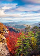 Obraz premium Splendid view in Carpathian mountains.
