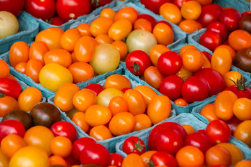 Cherry Tomato at Farmers Market