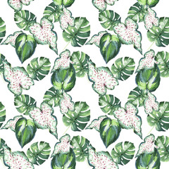 Tropical Hawaii leaves palm tree pattern in a watercolor style isolated.