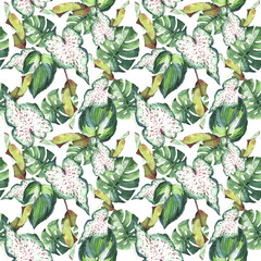 Tropical Hawaii leaves palm tree pattern in a watercolor style isolated.