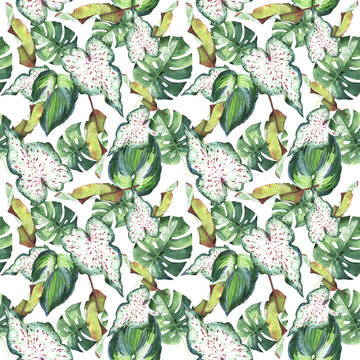 Tropical Hawaii leaves palm tree pattern in a watercolor style isolated.