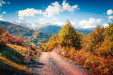 Colorful morning in the Caucasus mountains.