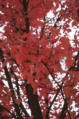 Postdamer platz, ingresso metropolitana a Berlino