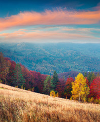 Fototapety  Colorful autumn landscape in the Carpathian mountains.
