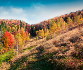 Colorful autumn landscape in the Carpathian mountains