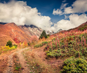 Sunny autumn lanscape with old dirty road in Caucasus mountains.