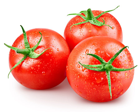 Tomato isolated on white