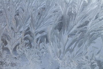 Ice frost on window