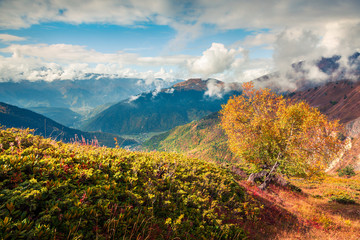 Obraz premium Colorful slopes of the Caucasus Mountains.