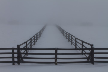Foggy winter fence