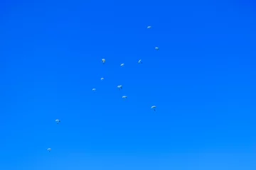 Papier Peint photo Sports aériens Paratroopers descend to earth on the blue clear sky background