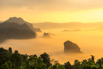 Rural view in morning with fog environment