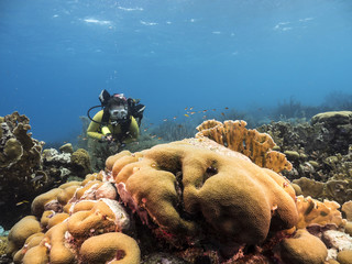 Unterwasser - Riff - Koralle - Schwamm - Taucher - Tauchen - Curacao - Karibik