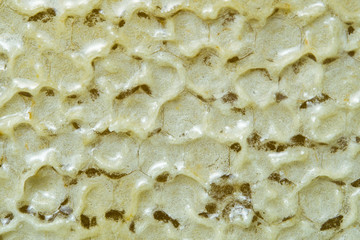 Bee hive texture with honey filled