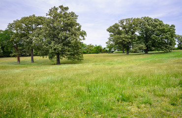 Yorktown Battlefield