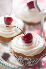 Black Forest Cupcakes