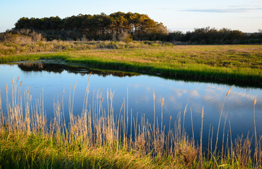 Assateague Island National Seashore