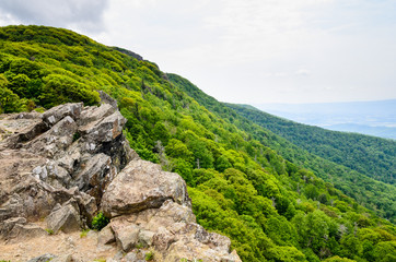 Shenandoah National Park