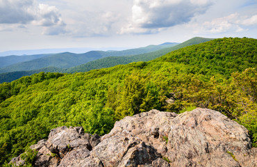 Shenandoah National Park