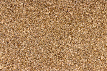 The surface of the sandstone. Use for background.