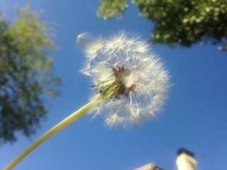 Naklejka premium Be Present