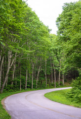 Blue Ridge Parkway
