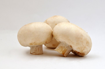 Champignon mushrooms closeup isolated
