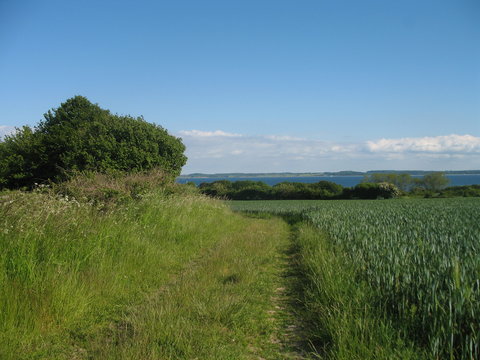 Am Feldrand