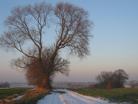 Winterlandschaft
