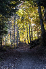 Karren Wanderweg Herst