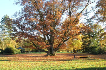 Ein Klostergarten im Herbst