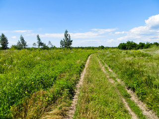 Fototapeta na wymiar Wide green meadow