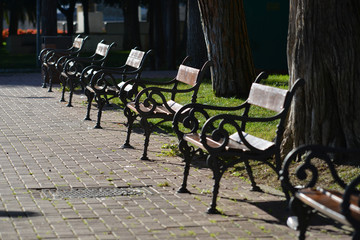 a row of wooden benches in the park