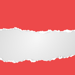 Cut paper. Torn Paper with space for text. Mesh elements