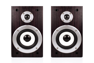 Audio speaker in a wooden case. Isolated on white background