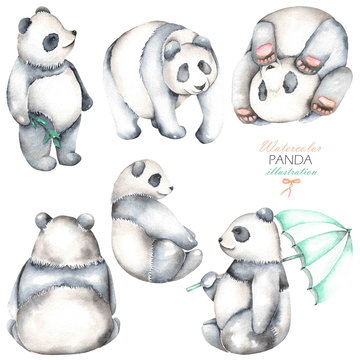 Collection, set of watercolor pandas illustrations, hand drawn isolated on a white background