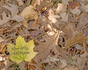 True Love Never Dies