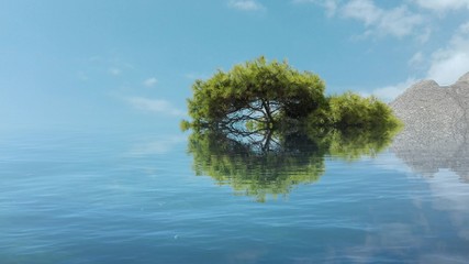 Baum spiegelt sich im Wasser