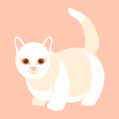 Cat sitting style vector illustration Flat