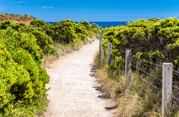 Fototapeta na wymiar Great Ocean Road Coastline in Victoria State, Australia