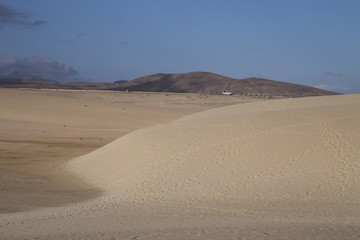 Fototapeta na wymiar Desert of Fuerteventura Island, Canary Islands, Spain, Europe