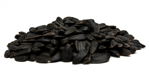 sunflower seed isolated on white