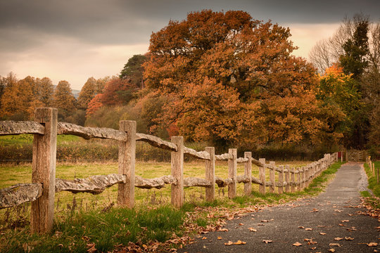 Rustic wooden fence
Countryside path and an old rustic countryside fence in Autumn