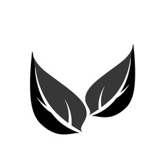 leafs ecology symbol isolated icon vector illustration design