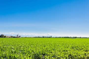 Agricultural landscape