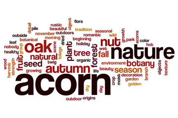 Acorn word cloud